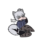 foxboitransp